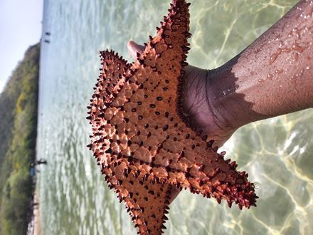 Eduardo St Paul Popo