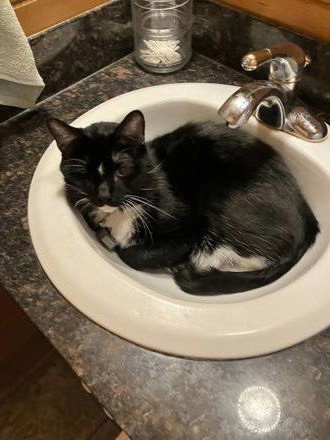 Juliette Weier-Rauscher