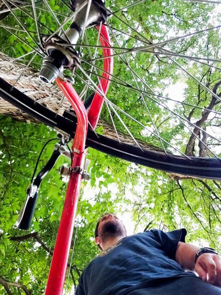 Andrew Marchegiano-smith