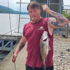 Jamie McGavitt