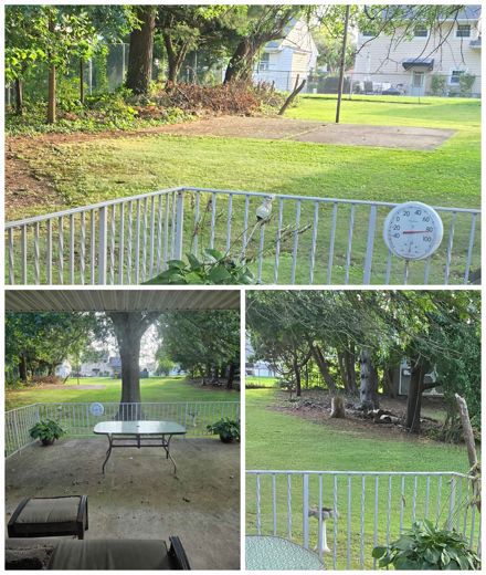 Timothy Randolph McCollough