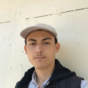 Walid Toumi