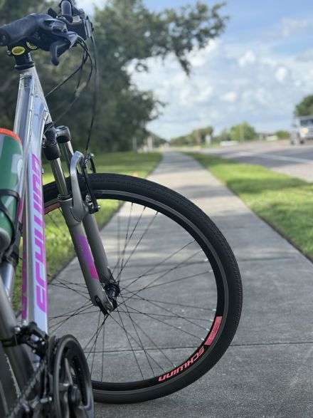 Tania De la Riva Carrasco