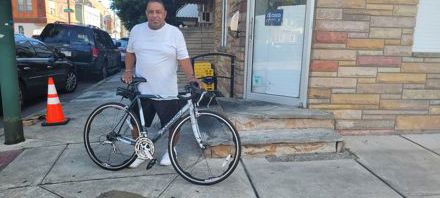 Donald Pool-shark Fullard