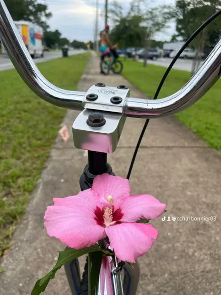 christina charbonnier