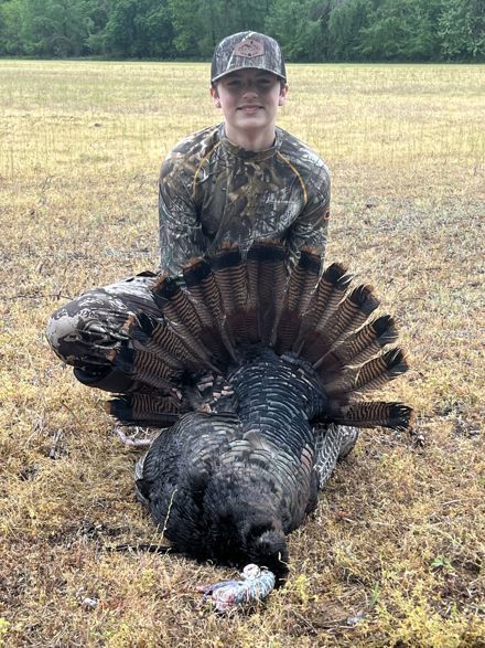Hayes Talley
