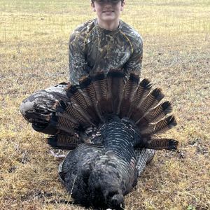 Hayes Talley