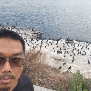 Kentzar Kamaluddin