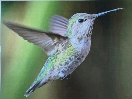 Wayne Harbour