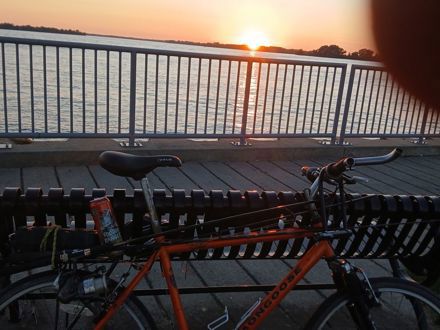 William Allen