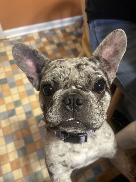 Luna Marin