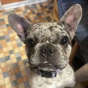 Luna Marin