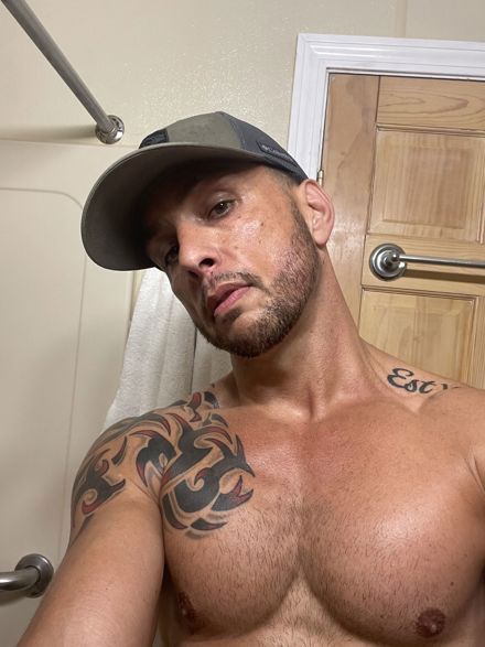 Joe Domenico