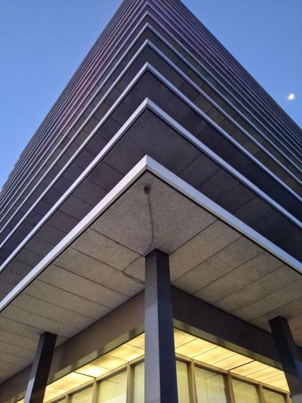 Kim Quach