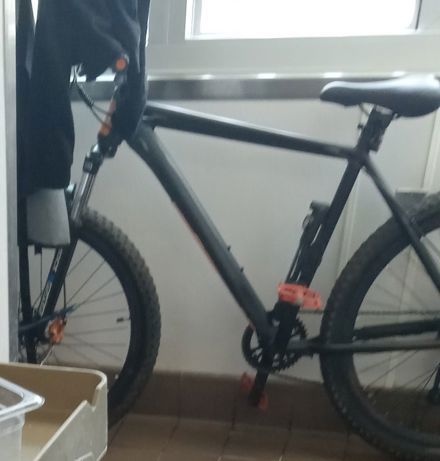 Daniel Roebuck