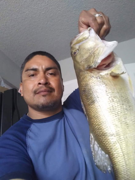 Oscar Marquez