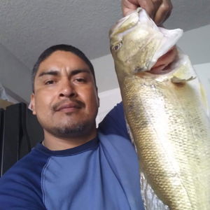 Oscar Marquez
