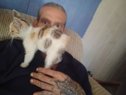 Junior Davis