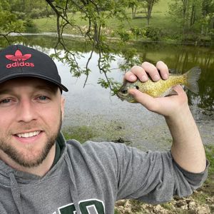 Brandon Burkhart