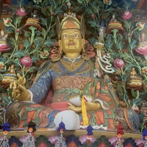 Tenzin Norsang