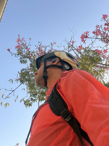 Edgar Bautista