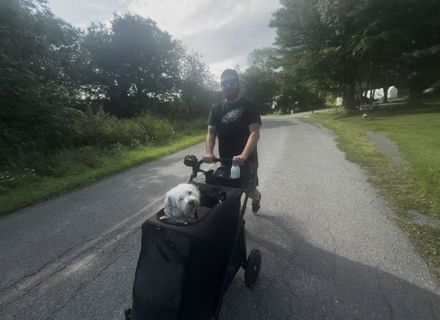 Andrew Lynch