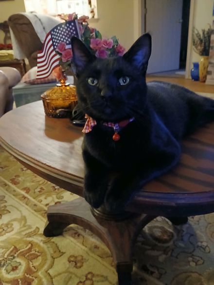 Allen Wilkerson