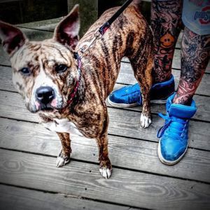 Clyde Sixshot