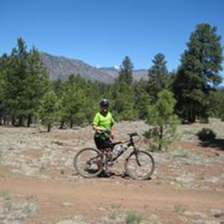 Cheryl Koch-Martinez