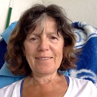 Sharon Montagnino