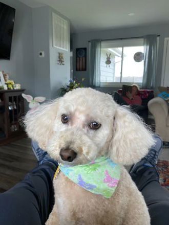 Mary Finch