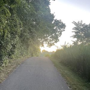 Ride image
