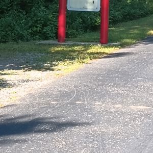 Ride image