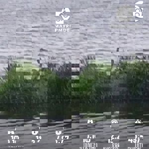 Update4815118