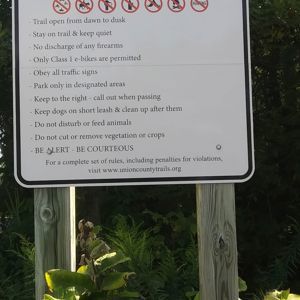 Ride image