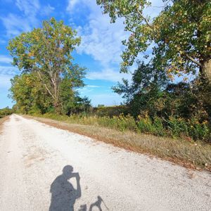 Ride image