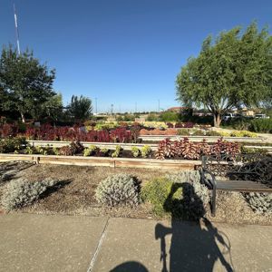 Ride image