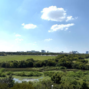 Ride image