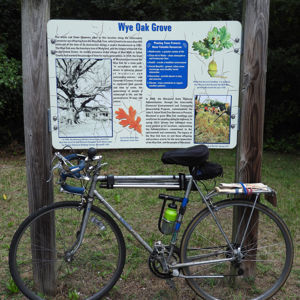 Ride image
