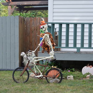 Ride image