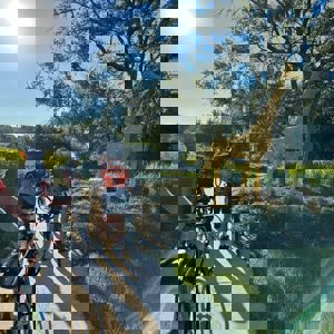 Ride image