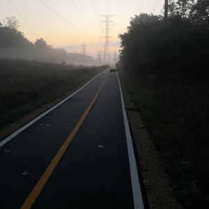 Update4905420
