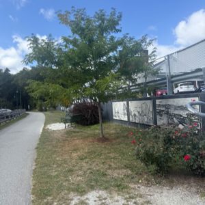 Ride image