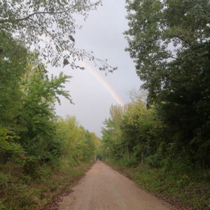 Ride image