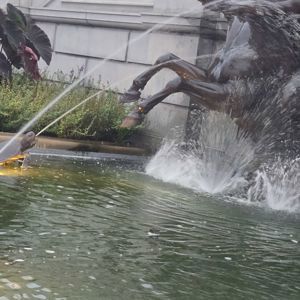 Ride image