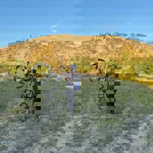 Ride image