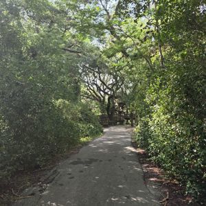 Ride image