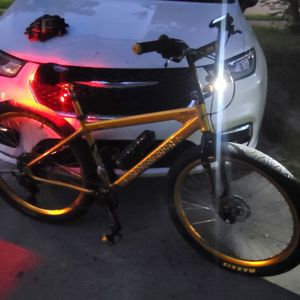 Ride image