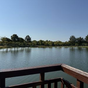 Ride image