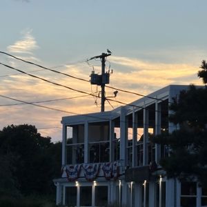 Ride image